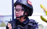 开云平台-东莞队遇难题，谋求突破脱困的简单介绍