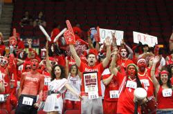 开云官网-包含火箭队客场逆转夺冠，球迷欢呼不已的词条