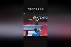 开云体育app-波兰乒乓球队逆转日本乒乓球队，许昕统治全场的简单介绍