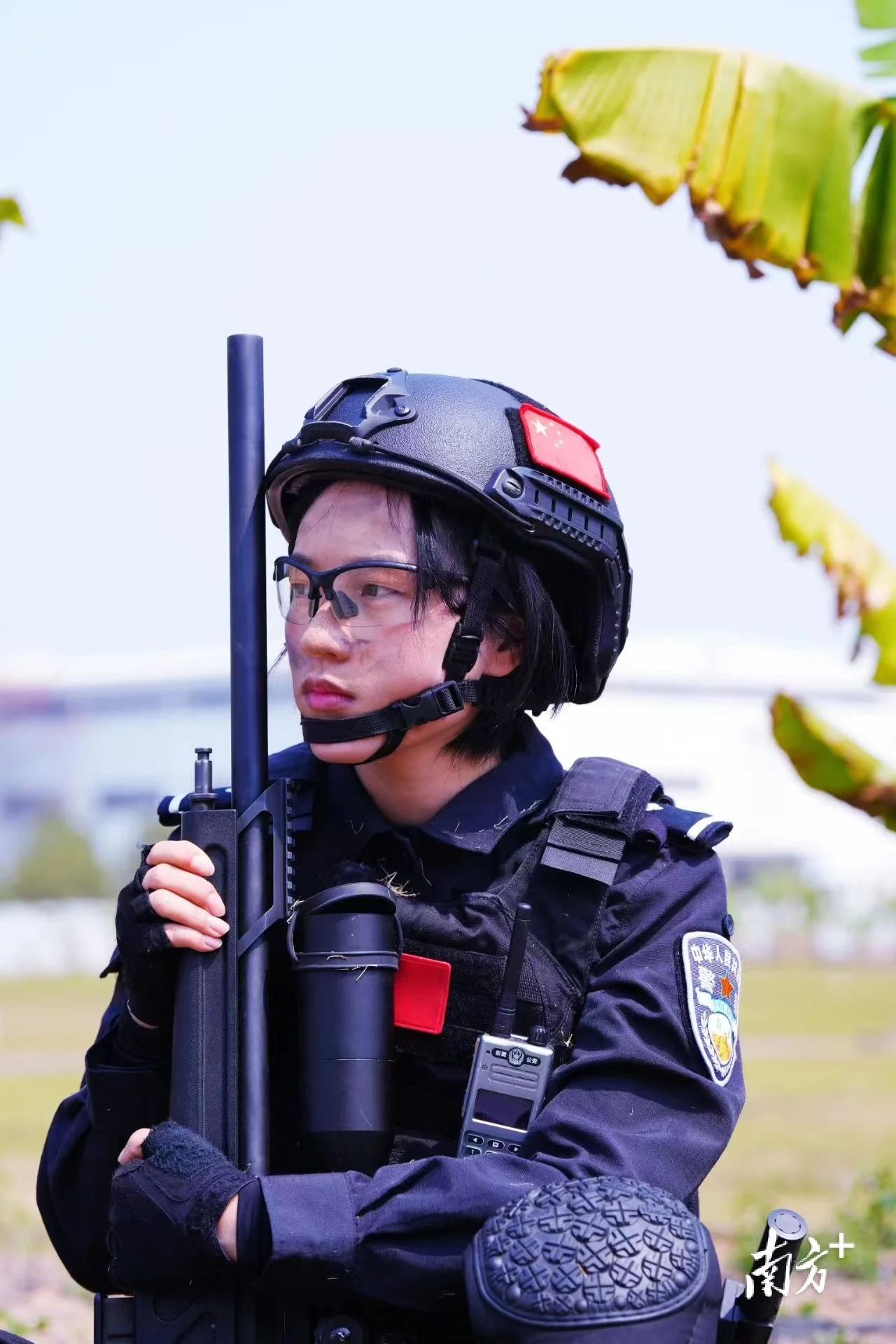 东莞队遇难题，谋求突破脱困的简单介绍