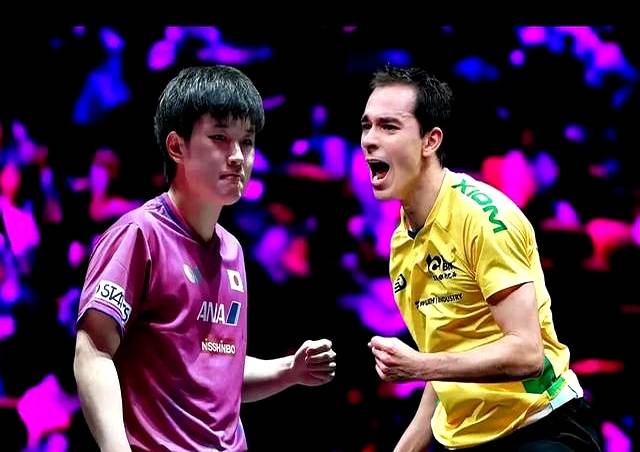 关于德国乒乓球队完胜法国乒乓球队，张本智和爆发神勇的信息